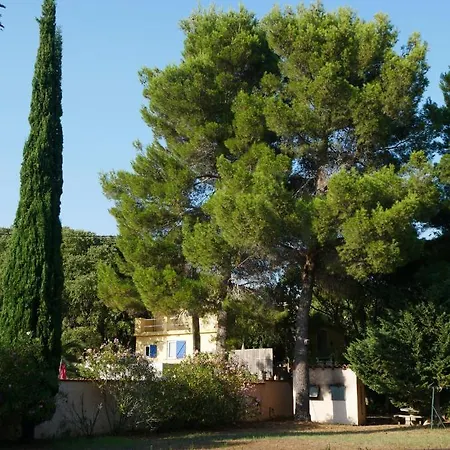 Apartment De La Massane