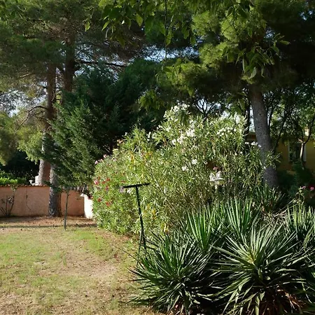 De La Massane * Argeles-sur-Mer