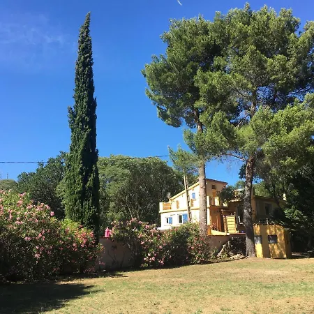 De La Massane * Argeles-sur-Mer
