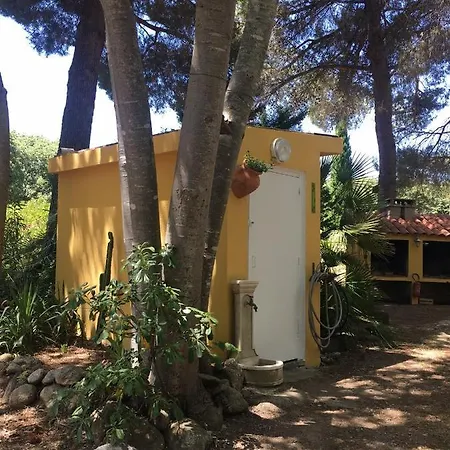 De La Massane Argeles-sur-Mer