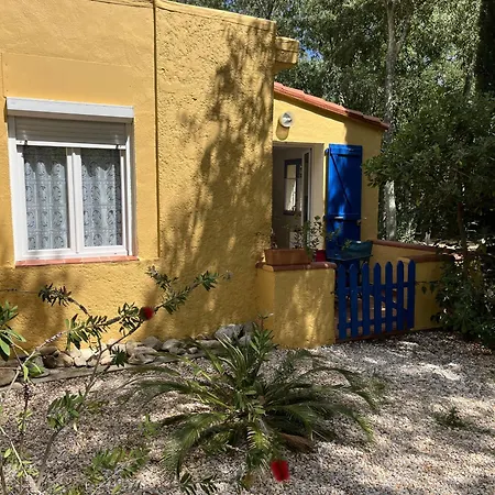 De La Massane Apartment Argeles-sur-Mer