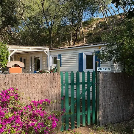 De La Massane Apartment Argeles-sur-Mer