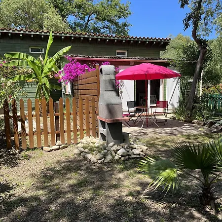 Apartment De La Massane *