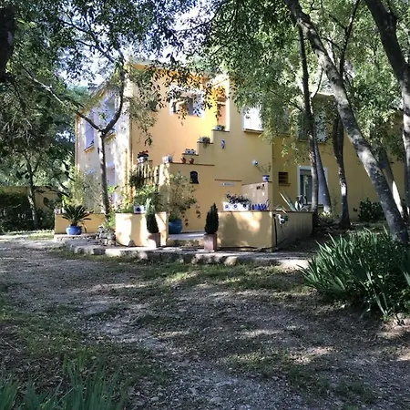 De La Massane *