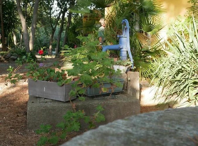 Apartamento De La Massane *